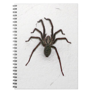 Carnet Araignée déplaisante