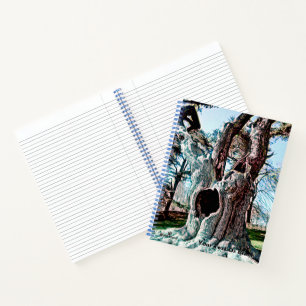 Carnet Arborescence de films fameux Wizard