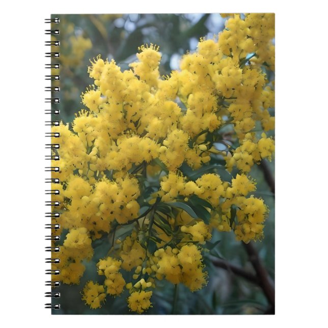 Carnet Arbre à bois jaune australien, (Devant)