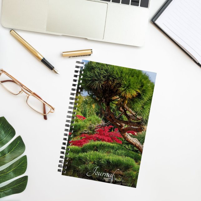 Carnet Arbre à pin noir et photo d'érable rouge japonais (In Situ)