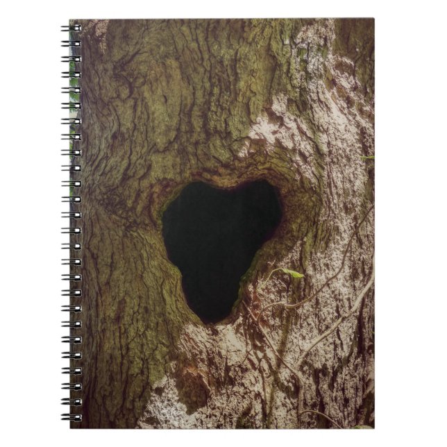Carnet Arbre cardiaque (Devant)