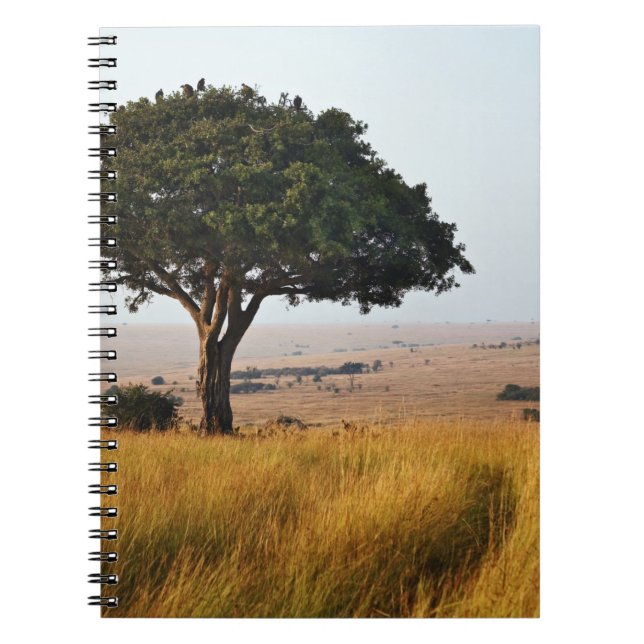 Carnet Arbre d'acacia isolé dans les plaines herbeuses, M (Devant)