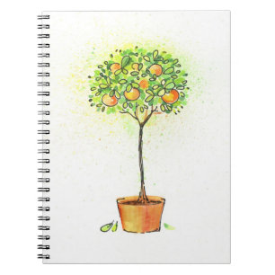 Carnet Arbre d'agrume peint d'aquarelle dans le pot