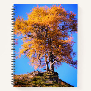 Carnet Arbre d'automne