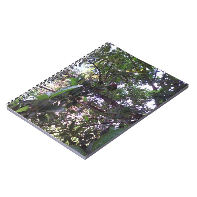 Carnet Arbre d'avocatier (Côté gauche)