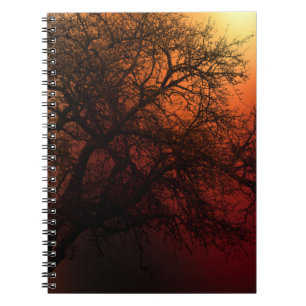 Carnet Arbre d'hiver Silhouette