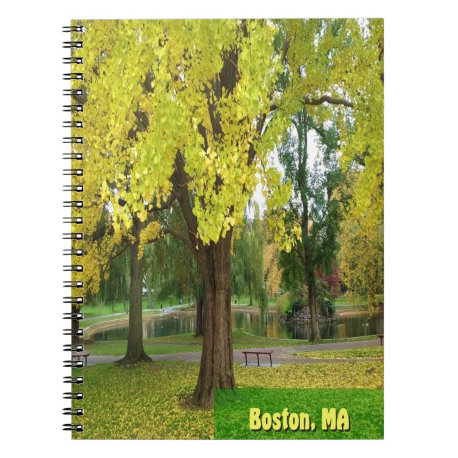 Carnet Arbre Gingko jaune - Jardin public de Boston (Devant)