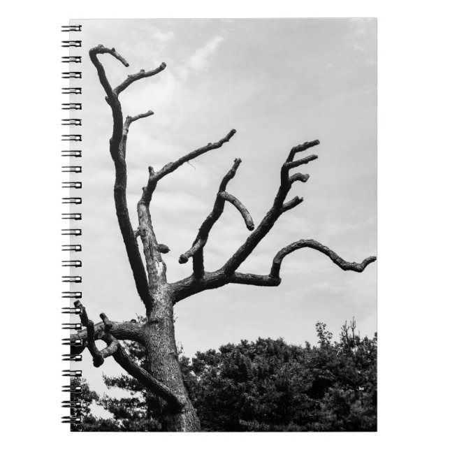 Carnet arbre libre (Devant)