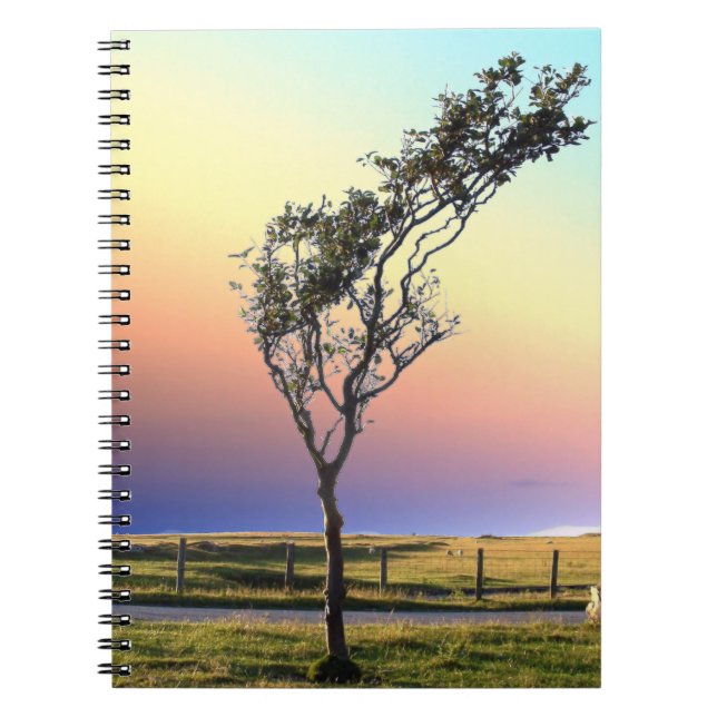 CARNET ARBRE LONE (Devant)
