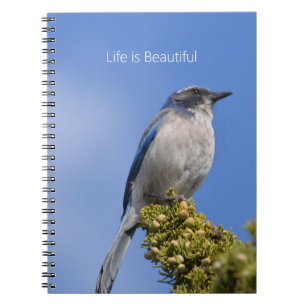 Carnet Arbre Merlebleu Ciel Bleu (ma photographie)