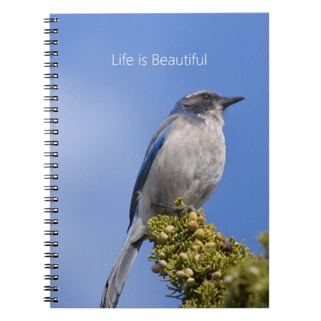 Carnet Arbre Merlebleu Ciel Bleu (ma photographie) (Devant)