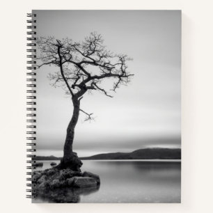 Carnet Arbre nu