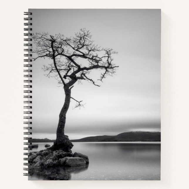 Carnet Arbre nu (Devant)