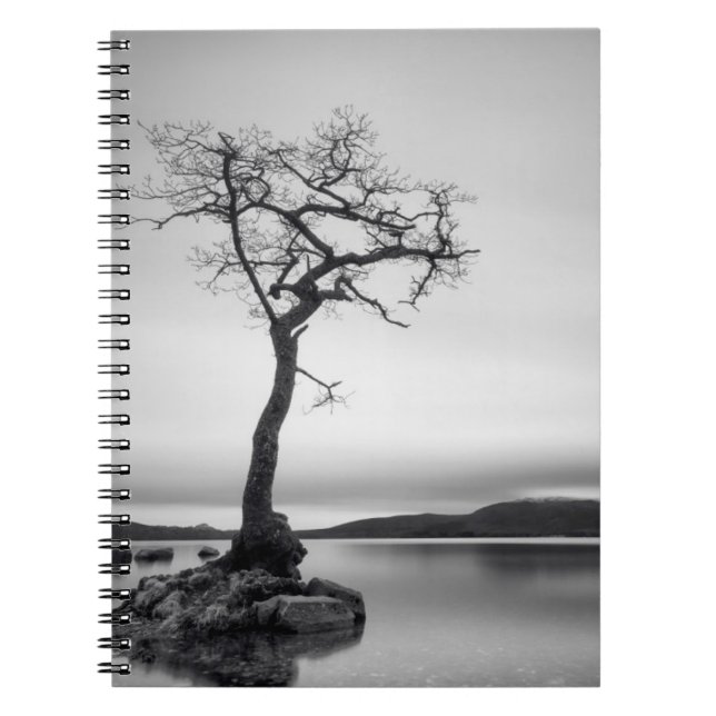 Carnet Arbre nu (Devant)