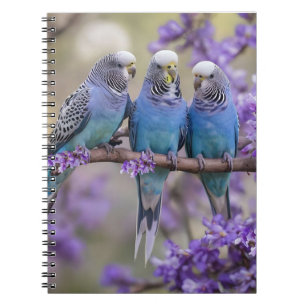 Carnet Arbre Top Chatter : Les Épouses Bleues Dans L'Arbr