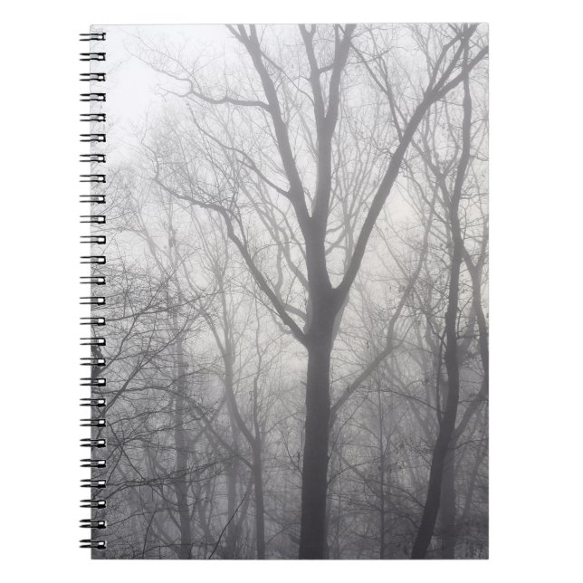 Carnet Arbres brumeux bois gris (Devant)