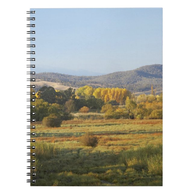 Carnet Arbres d'automne, Khancoban, Montagnes enneigées,  (Devant)
