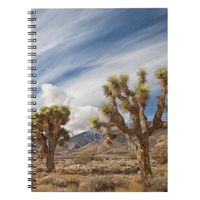 Carnet Arbres de Joshua dans le désert (Devant)