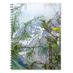 Carnet arbres de montagne, arbres de la nature, paysage f
