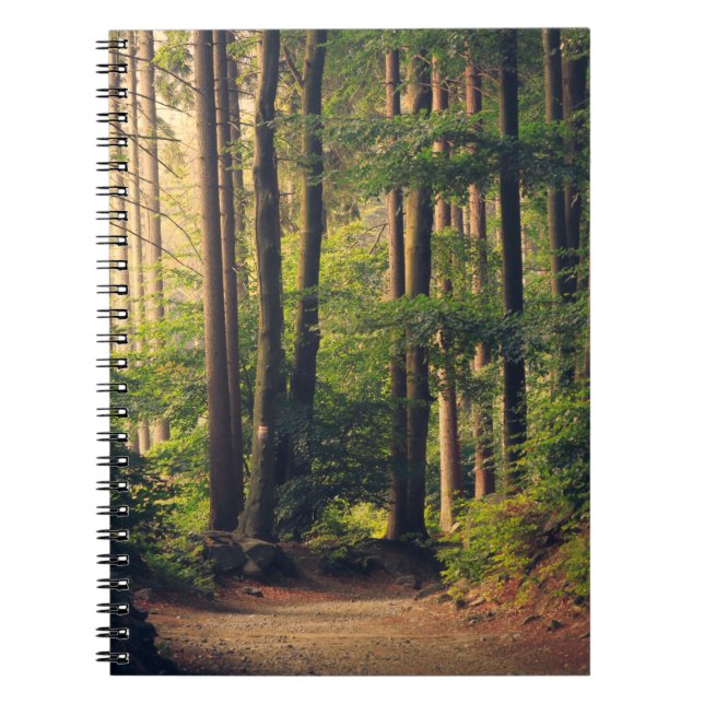 CARNET ARBRES FORESTIERS (Devant)