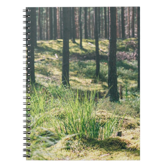 Carnet Arbres forestiers. nature bois vert soleil fond (Devant)