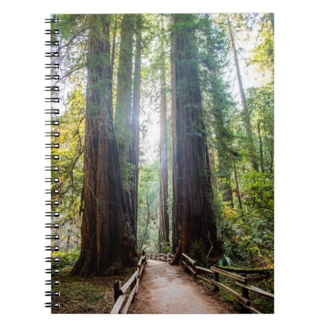 Carnet Arbres grands (Devant)