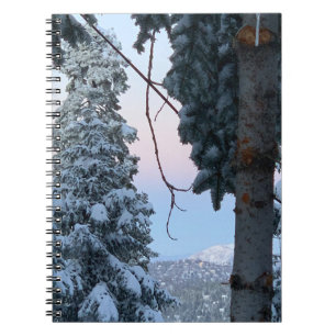 Carnet Arbres neigeux