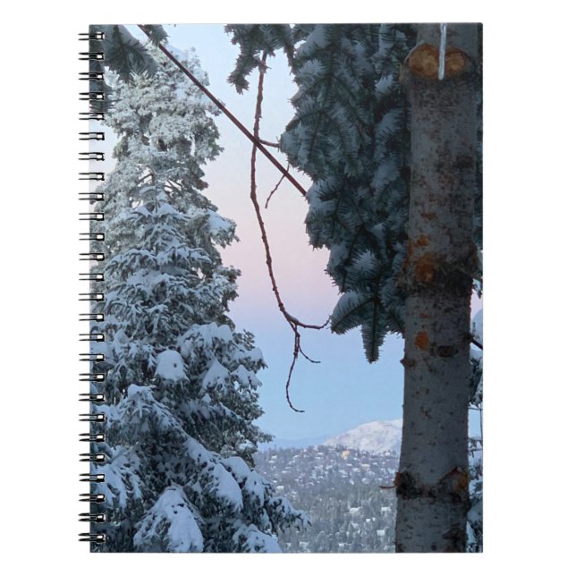 Carnet Arbres neigeux (Devant)