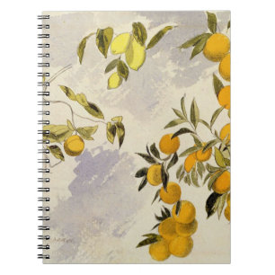 Carnet Arbres oranges, 1863 (la semaine, graphite fini à