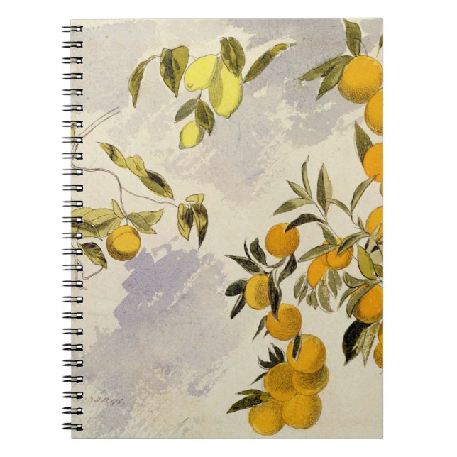 Carnet Arbres oranges, 1863 (la semaine, graphite fini à (Devant)