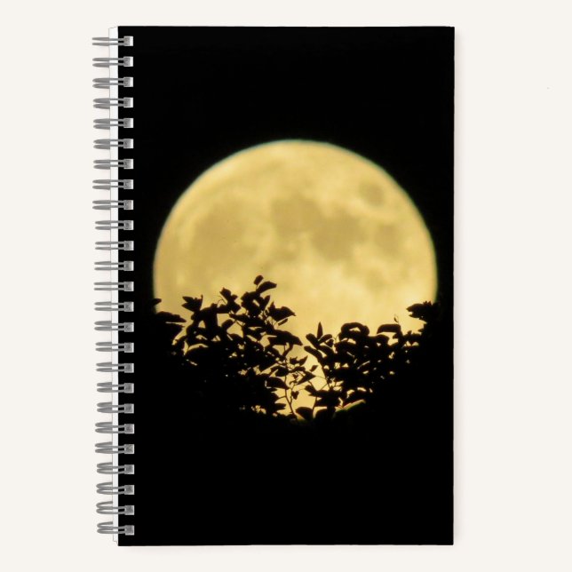 Carnet Arbres rétroéclairés par la pleine lune (Recto)