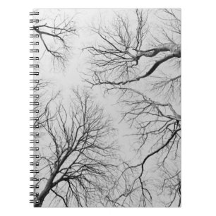 Carnet Arbres sans feuilles en bois de Thiepval