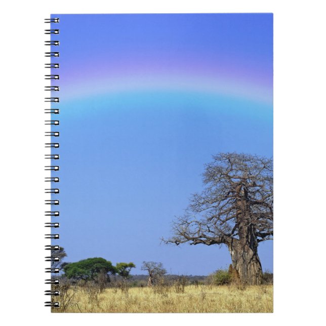 Carnet Arc-en-ciel et baobab africain, Adansonia (Devant)