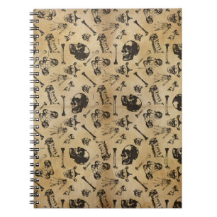 Carnet Archéologie de l'anatomie osseuse