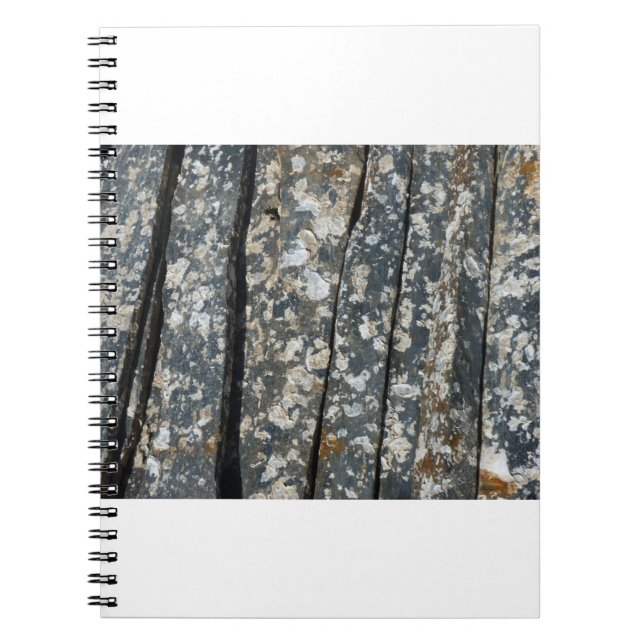 Carnet ardoise (Devant)