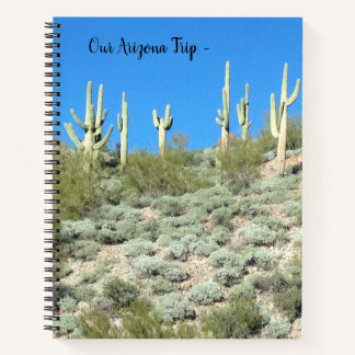 Carnet Arizona Saguaros - Voyage
