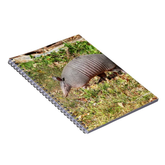 Carnet Armadillo (Côté Droit)