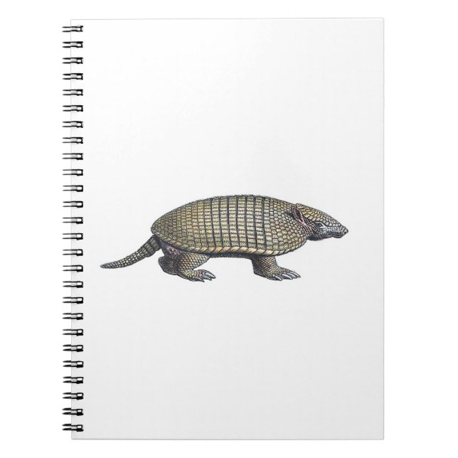 Carnet Armadillo (Devant)