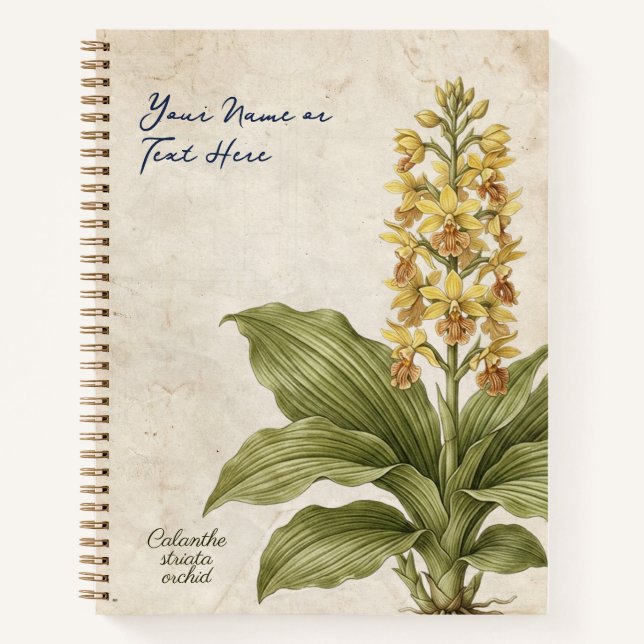 Carnet Arnaque botanique de Calanthe Striata vintage  (Devant)