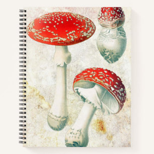 Carnet Arrière - plan affligé de champignon rouge morel