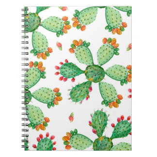 Carnet Arrière - plan de jeu de cactus transparent en aqu