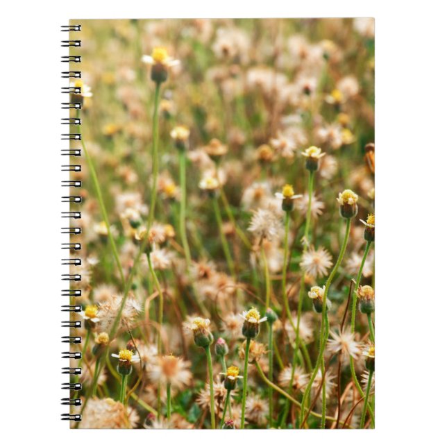 Carnet Arrière - plan de la nature avec herbe à fleurs, b (Devant)