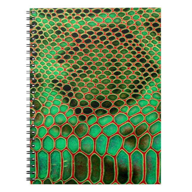 Carnet Arrière - plan de peau de serpent (Devant)
