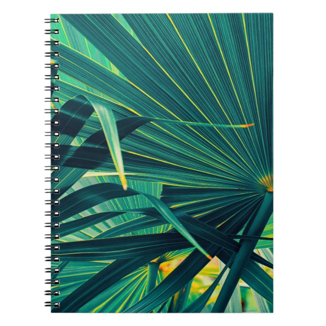 Carnet Arrière - plan de texture de feuille de palme trop (Devant)