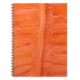 Carnet Arrière - plan de texture de peau du ventre crocod