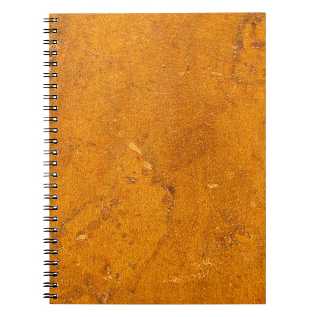 Carnet Arrière - plan en cuir antique de parchemin de (Devant)