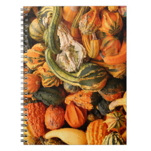 Carnet Arrière - plan Gourd Automne