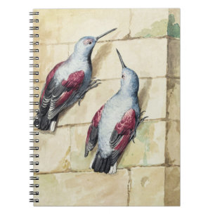 Carnet Art à l'aquarelle d'oiseau vintage rouge et gris