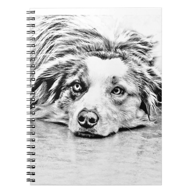 Carnet Art australien de chien de berger (Devant)