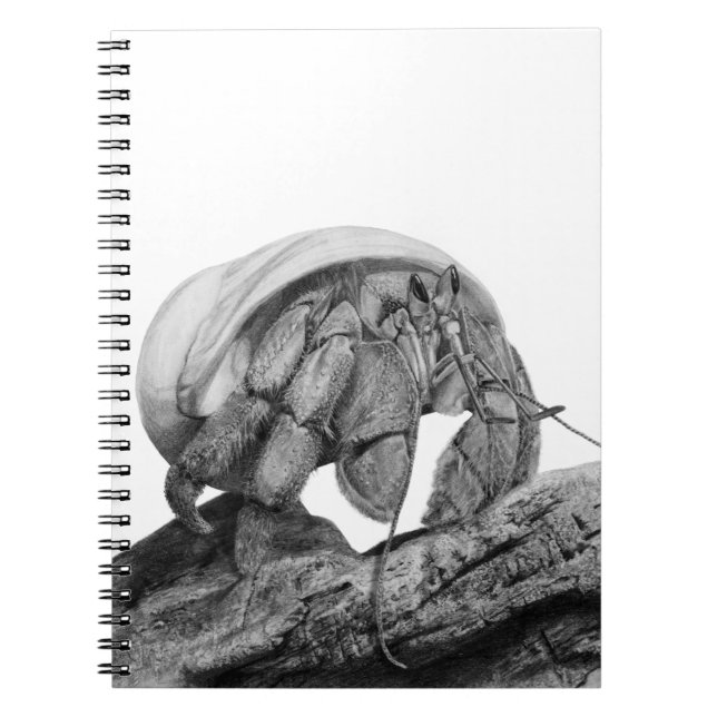 Carnet Art de Crabe Pagure Équatorien (Devant)
